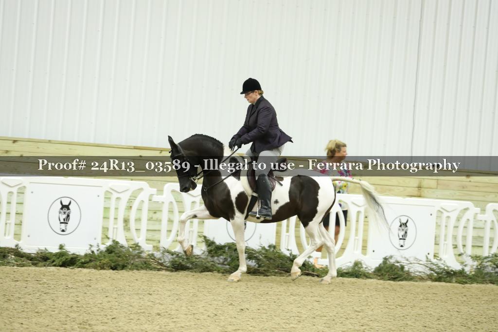 Proof Number 24R13_03589