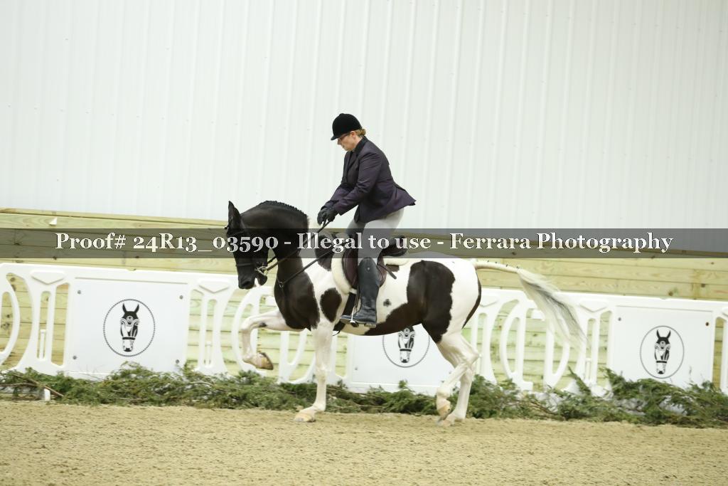 Proof Number 24R13_03590