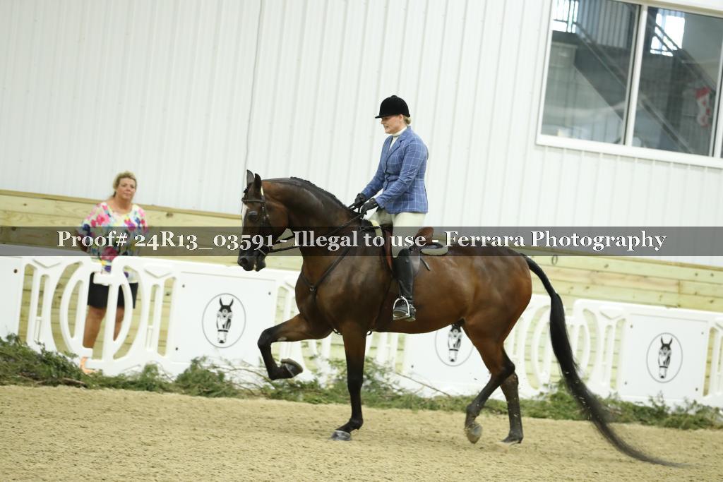 Proof Number 24R13_03591