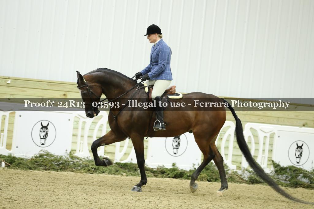 Proof Number 24R13_03593