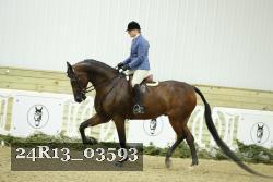 24R13_03593 thumbnail