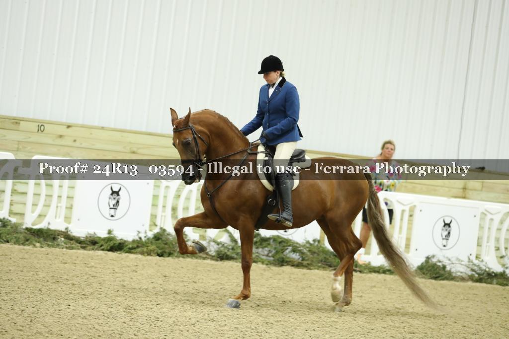 Proof Number 24R13_03594