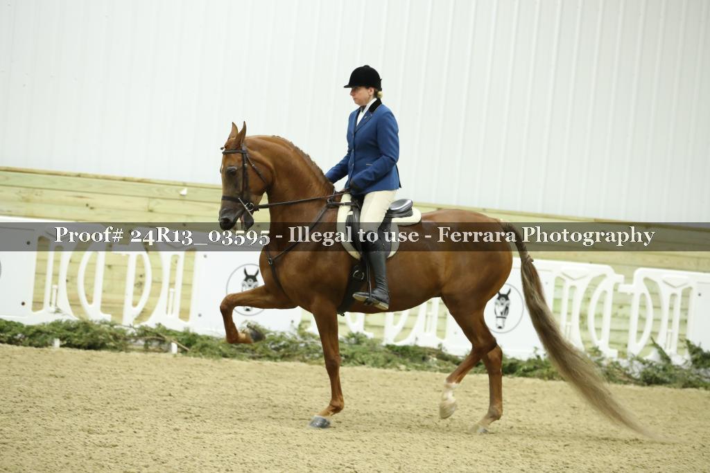 Proof Number 24R13_03595