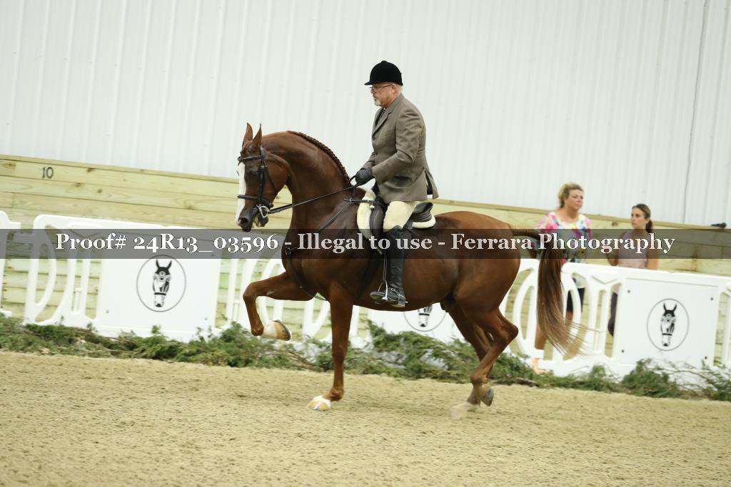 Proof Number 24R13_03596
