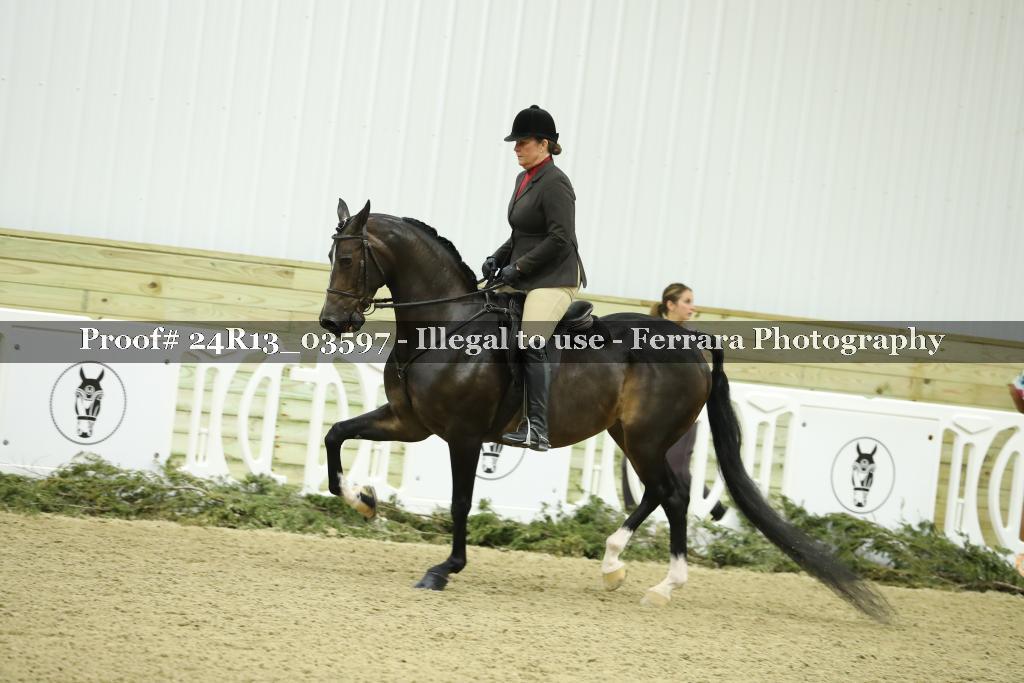 Proof Number 24R13_03597