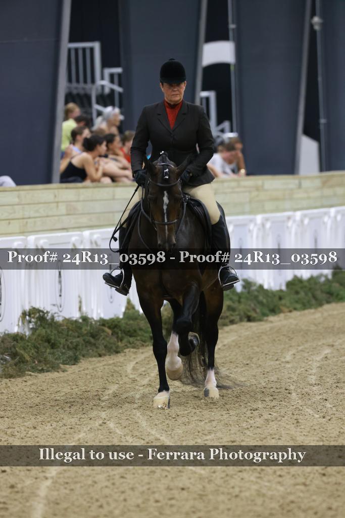 Proof Number 24R13_03598