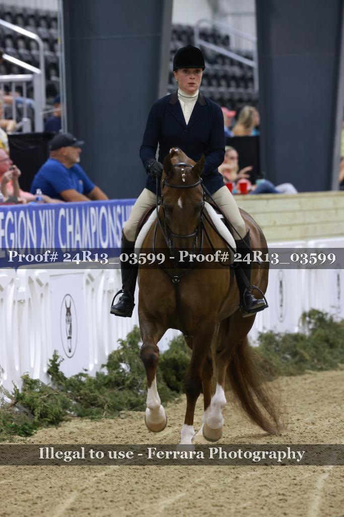 Proof Number 24R13_03599