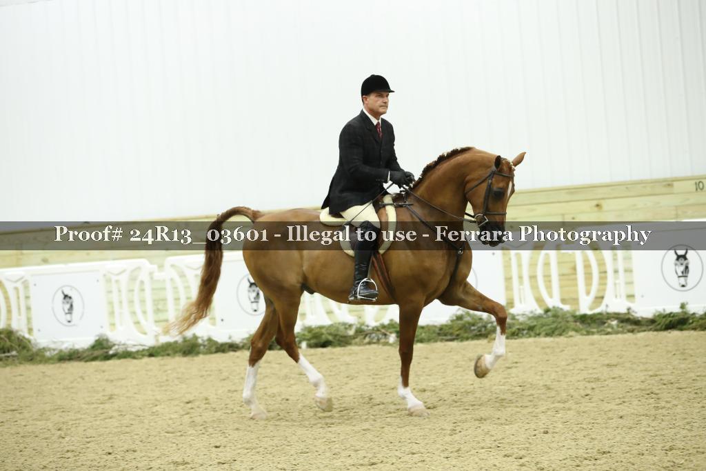 Proof Number 24R13_03601