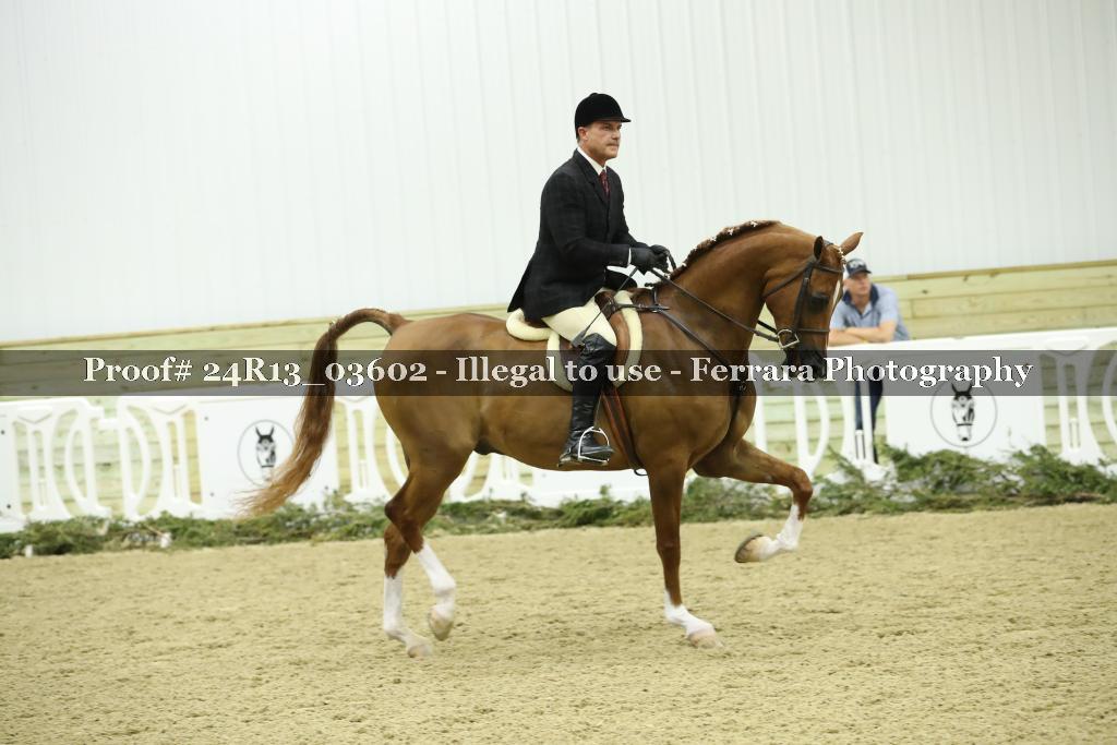 Proof Number 24R13_03602