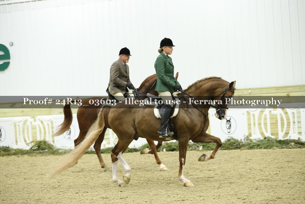 Proof Number 24R13_03603