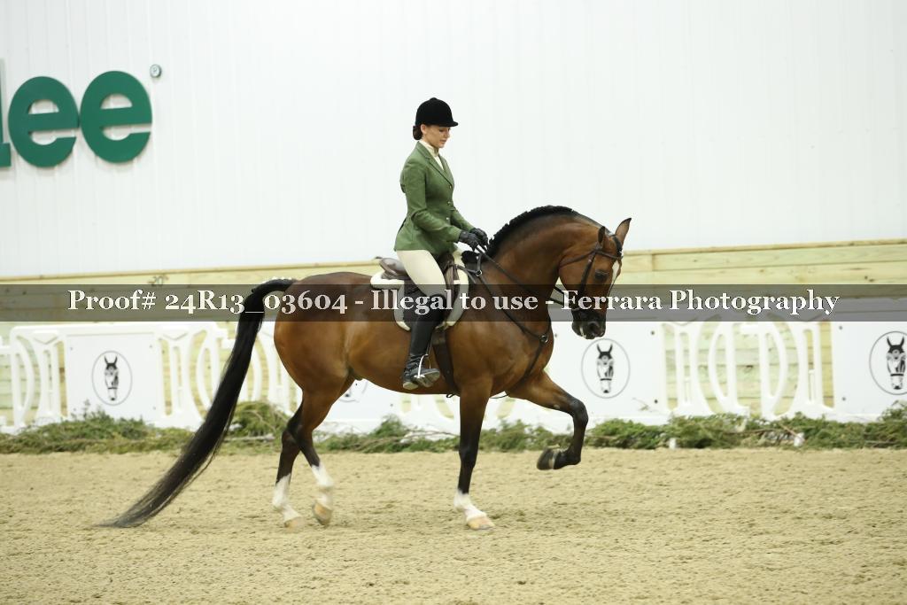 Proof Number 24R13_03604