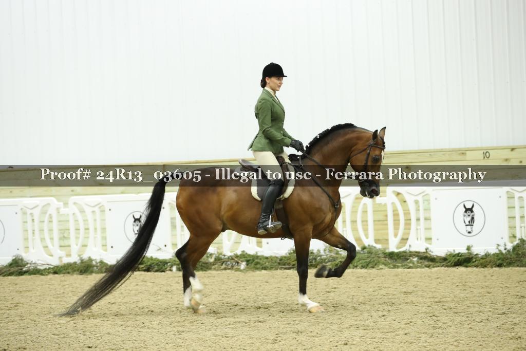 Proof Number 24R13_03605