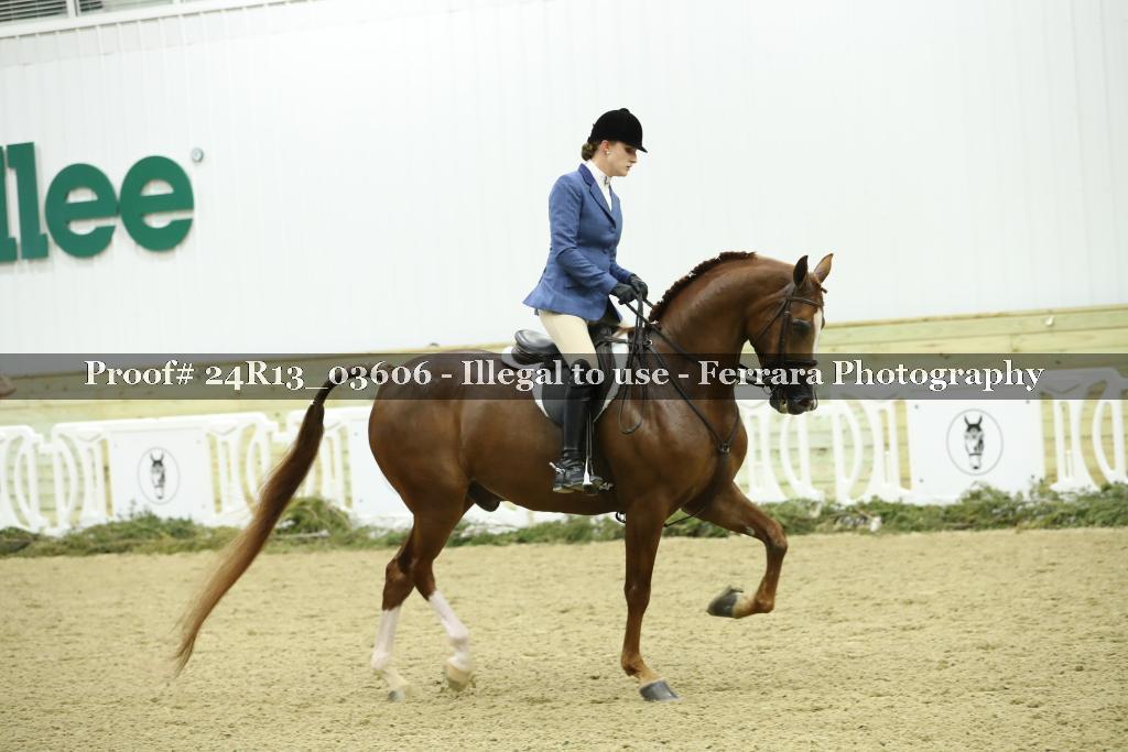 Proof Number 24R13_03606