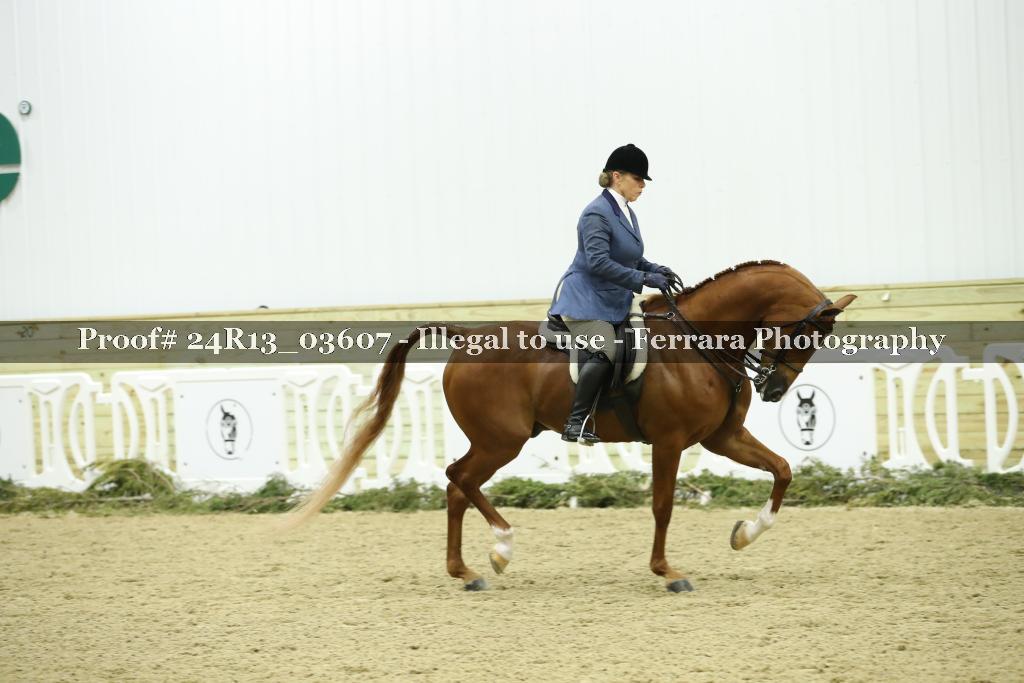 Proof Number 24R13_03607