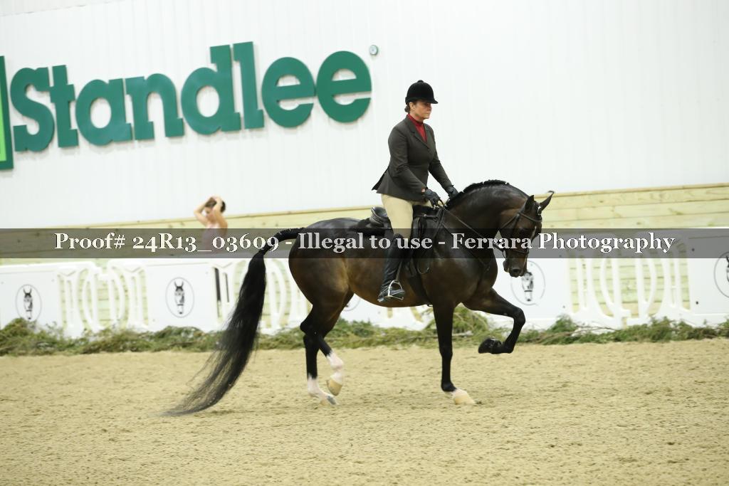 Proof Number 24R13_03609