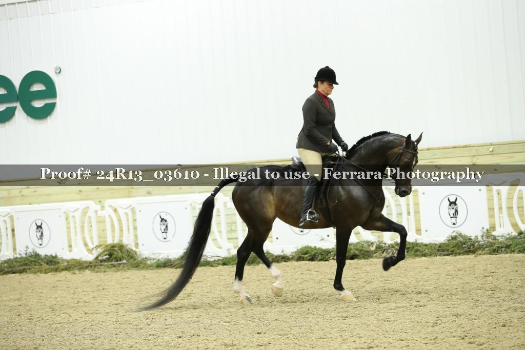 Proof Number 24R13_03610