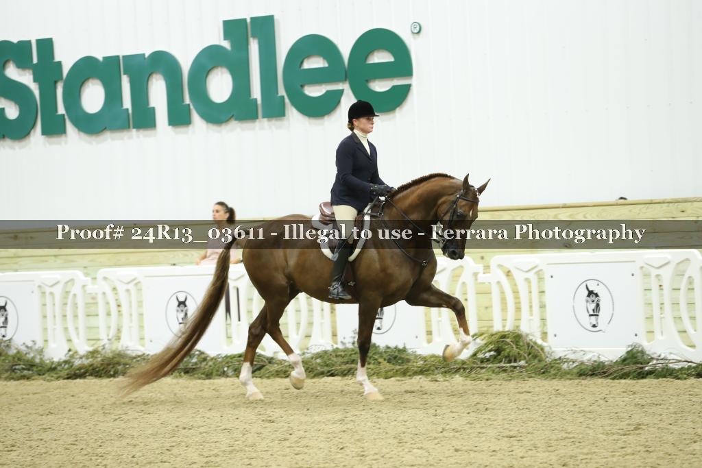 Proof Number 24R13_03611