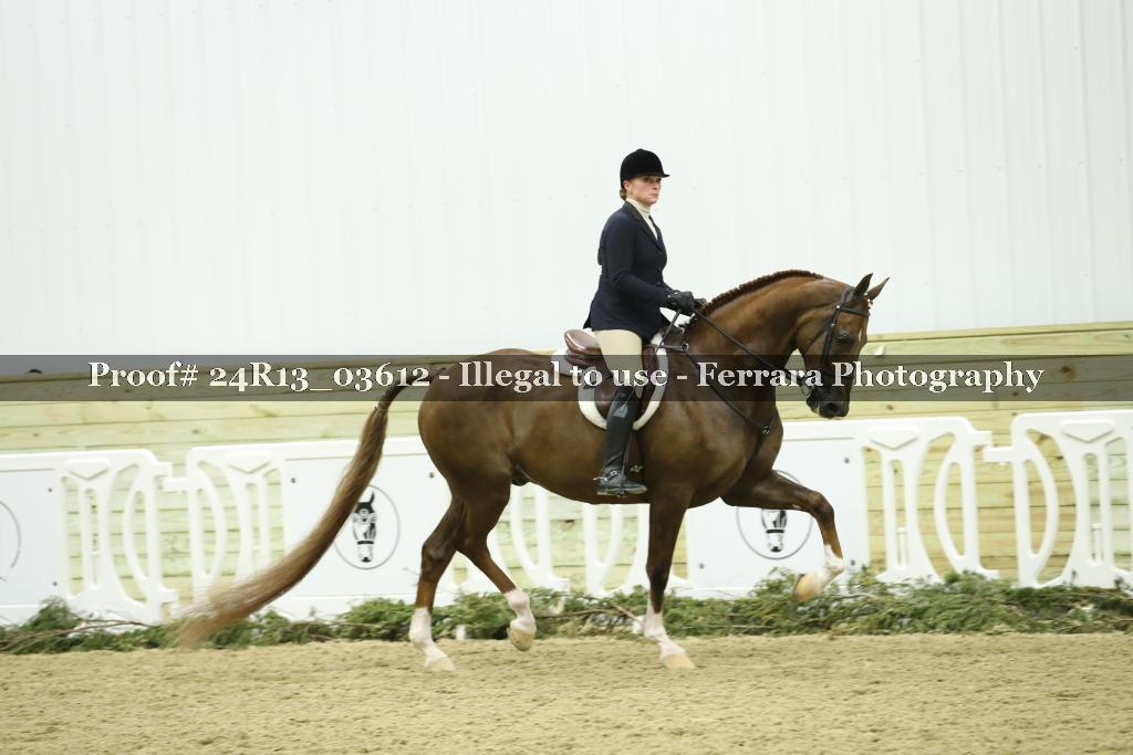 Proof Number 24R13_03612