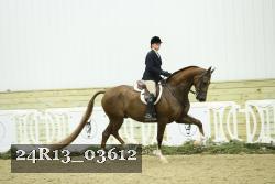 24R13_03612 thumbnail