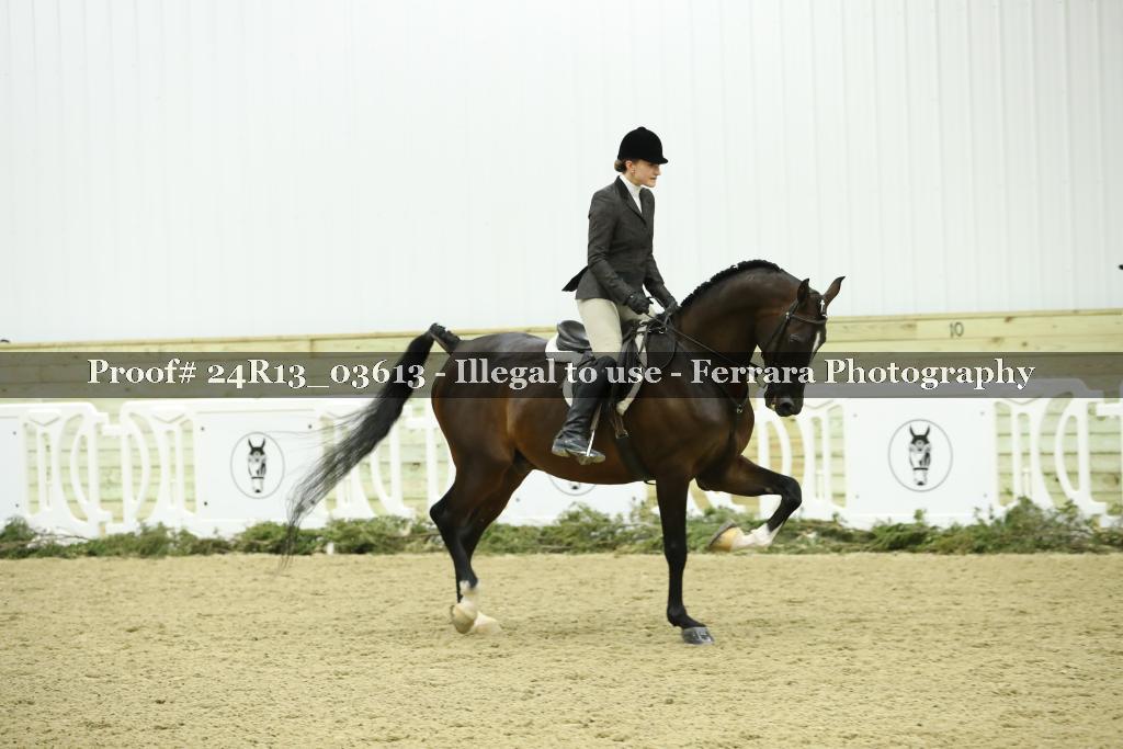 Proof Number 24R13_03613