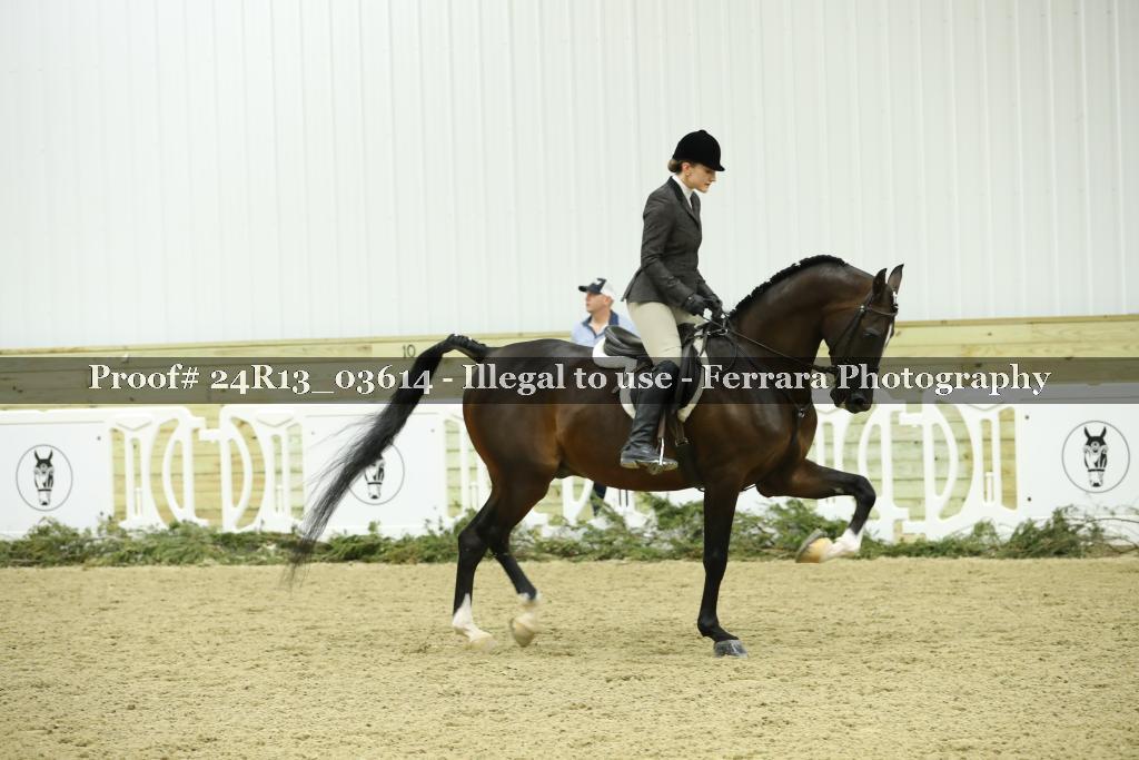 Proof Number 24R13_03614