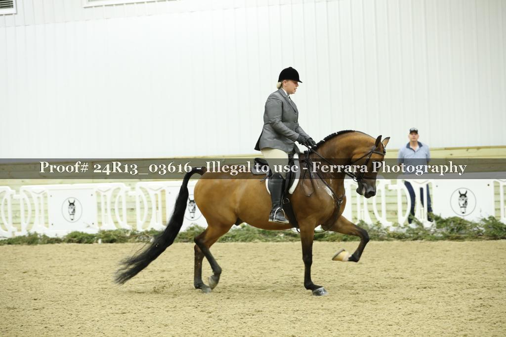 Proof Number 24R13_03616
