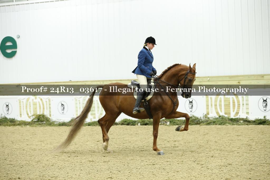 Proof Number 24R13_03617