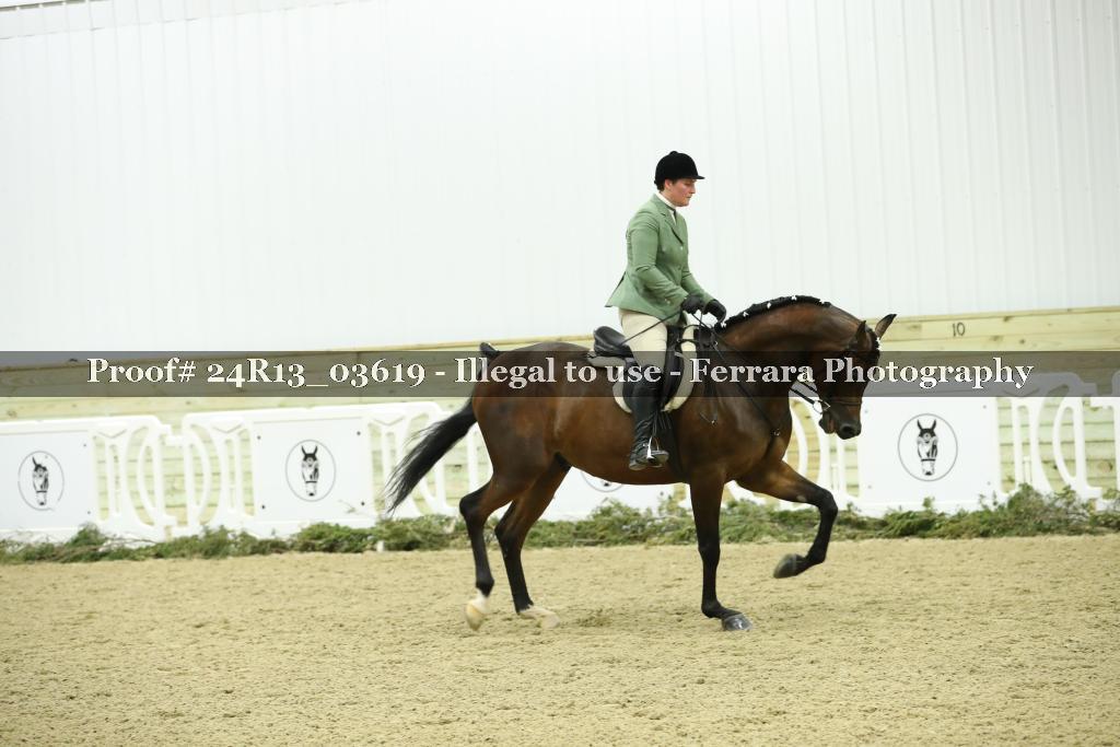 Proof Number 24R13_03619
