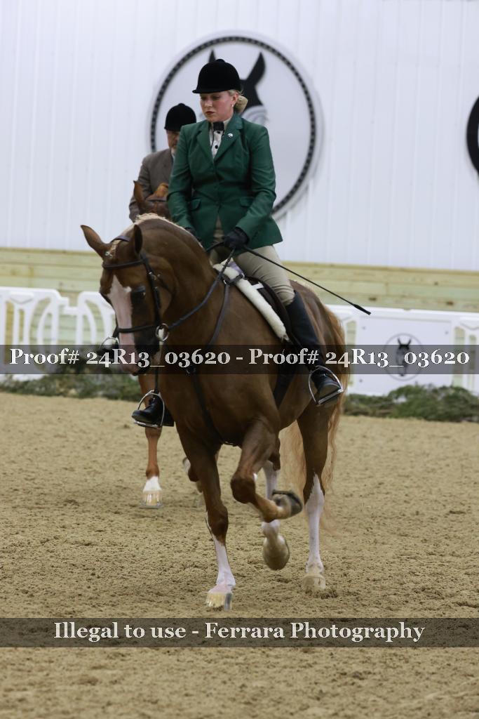 Proof Number 24R13_03620