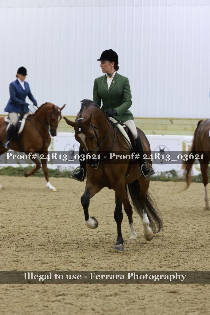 Proof Number 24R13_03621