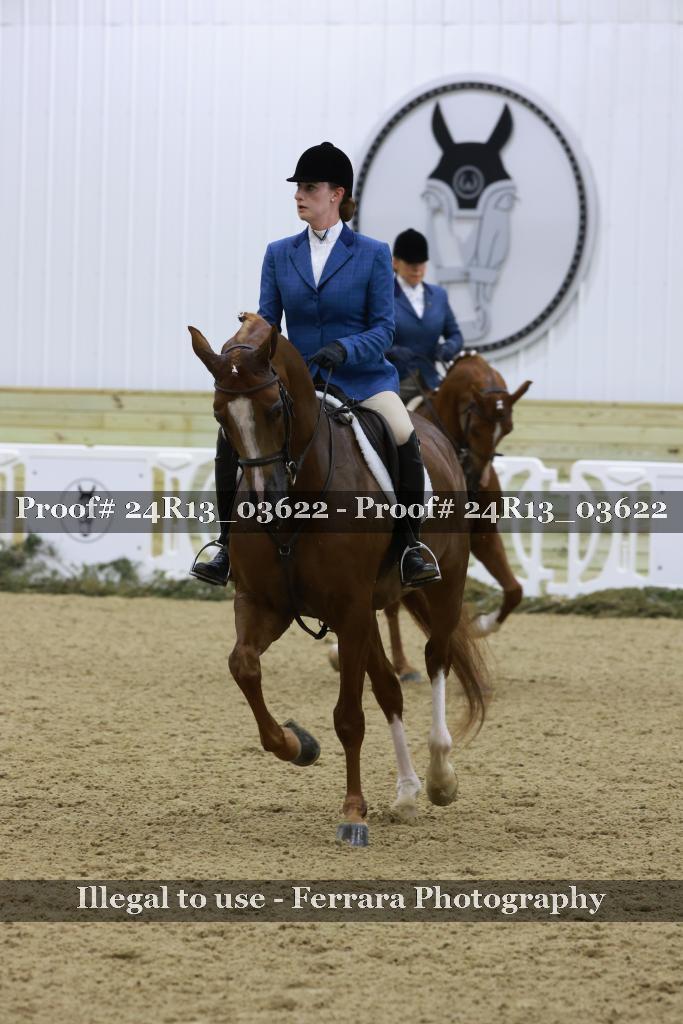 Proof Number 24R13_03622
