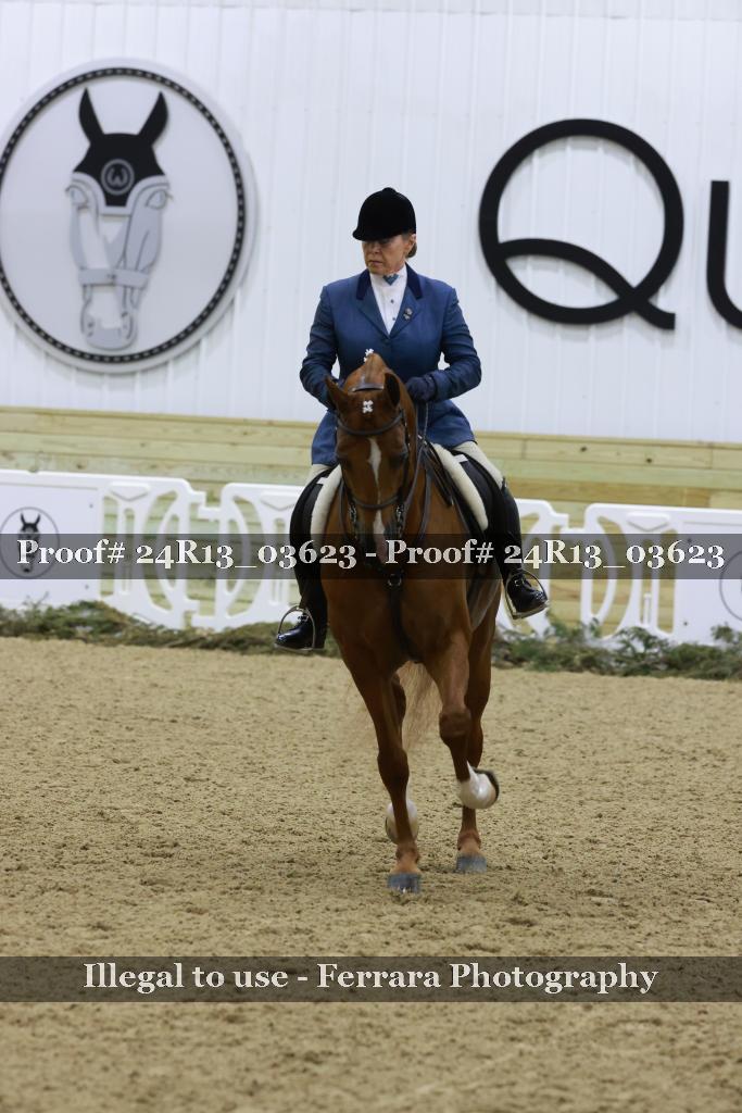 Proof Number 24R13_03623