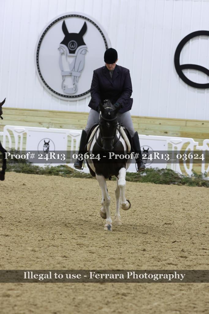 Proof Number 24R13_03624