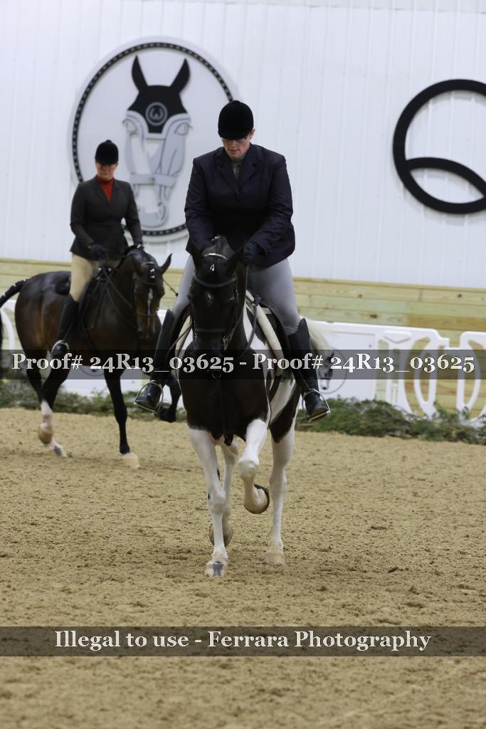 Proof Number 24R13_03625