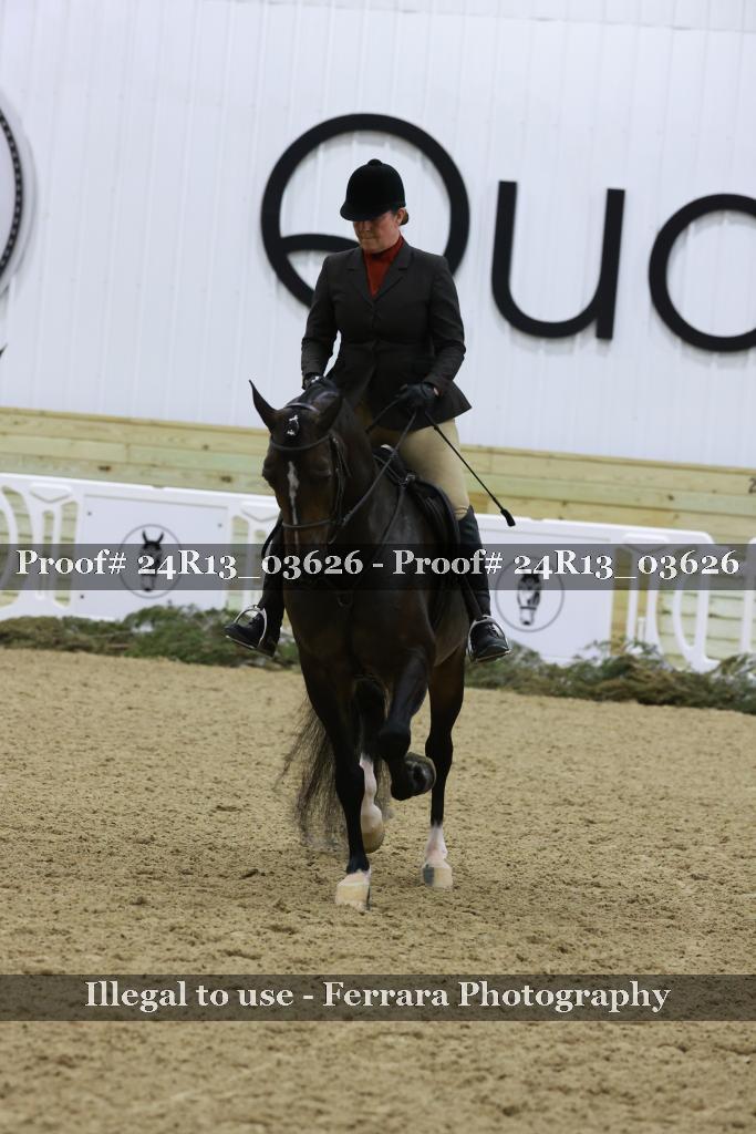 Proof Number 24R13_03626