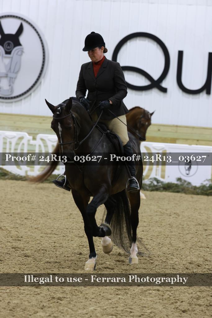 Proof Number 24R13_03627