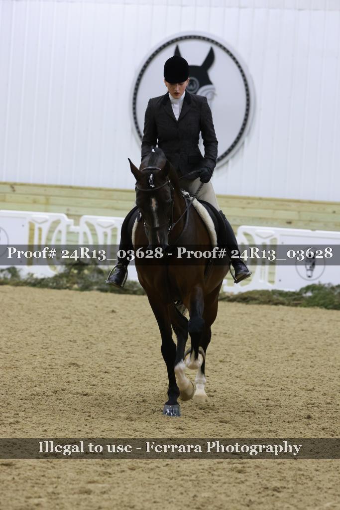 Proof Number 24R13_03628
