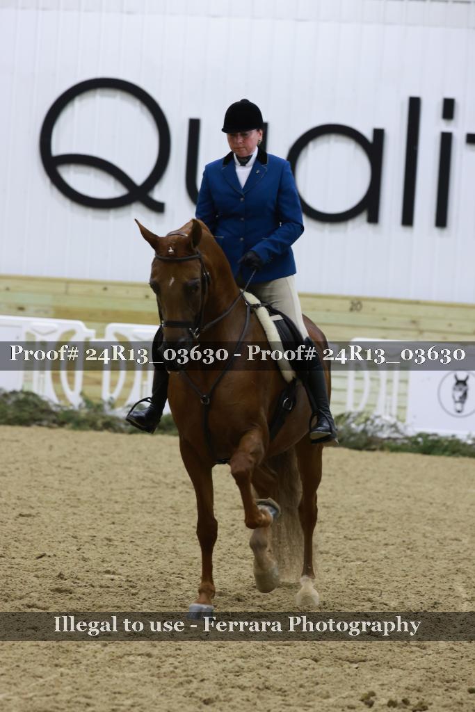 Proof Number 24R13_03630