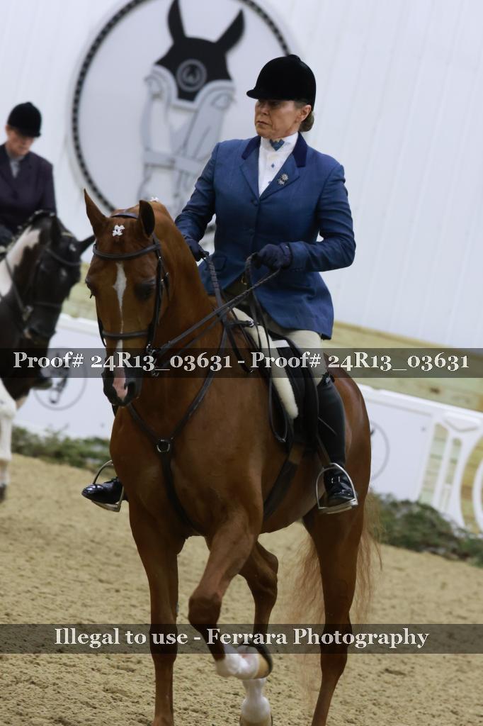 Proof Number 24R13_03631