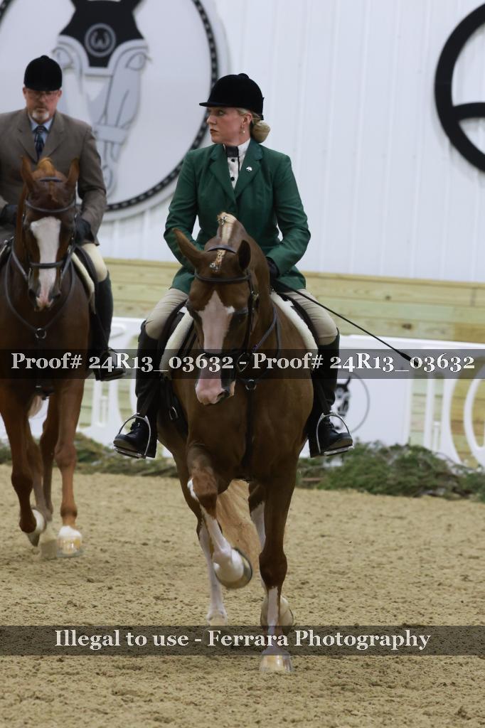 Proof Number 24R13_03632
