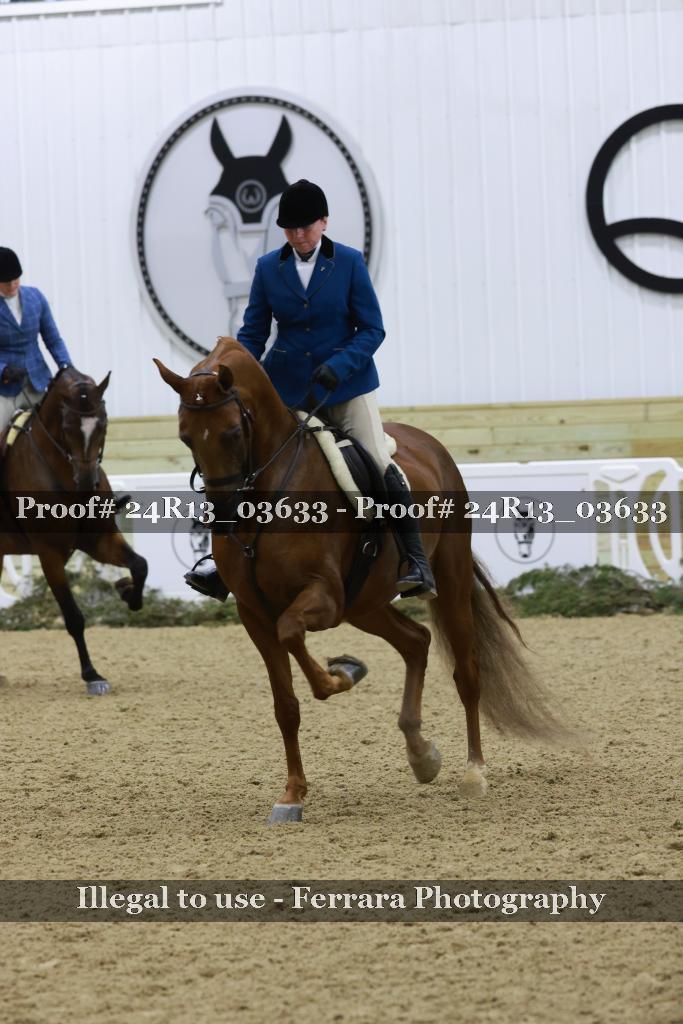 Proof Number 24R13_03633