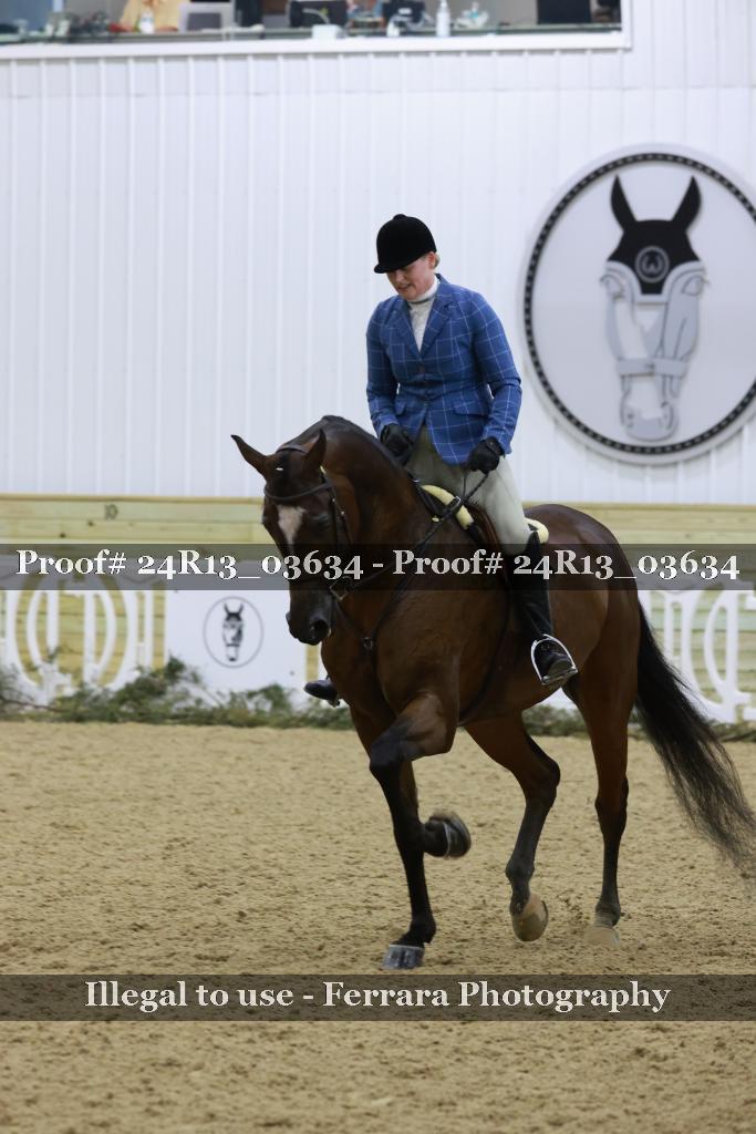 Proof Number 24R13_03634