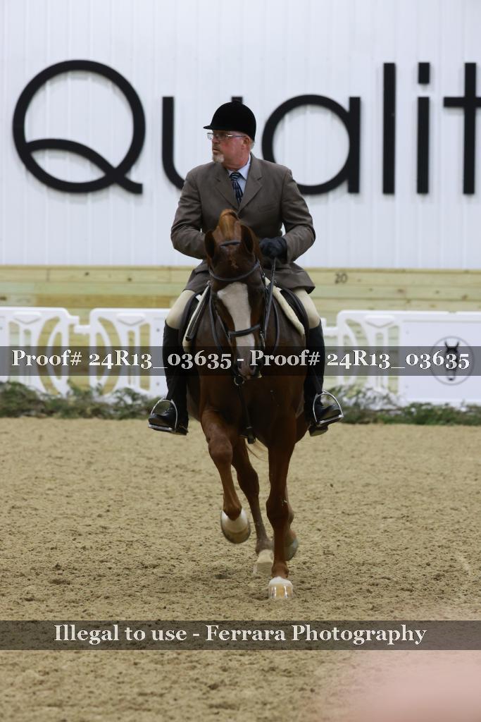Proof Number 24R13_03635