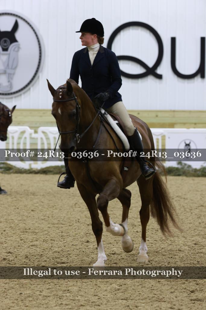 Proof Number 24R13_03636