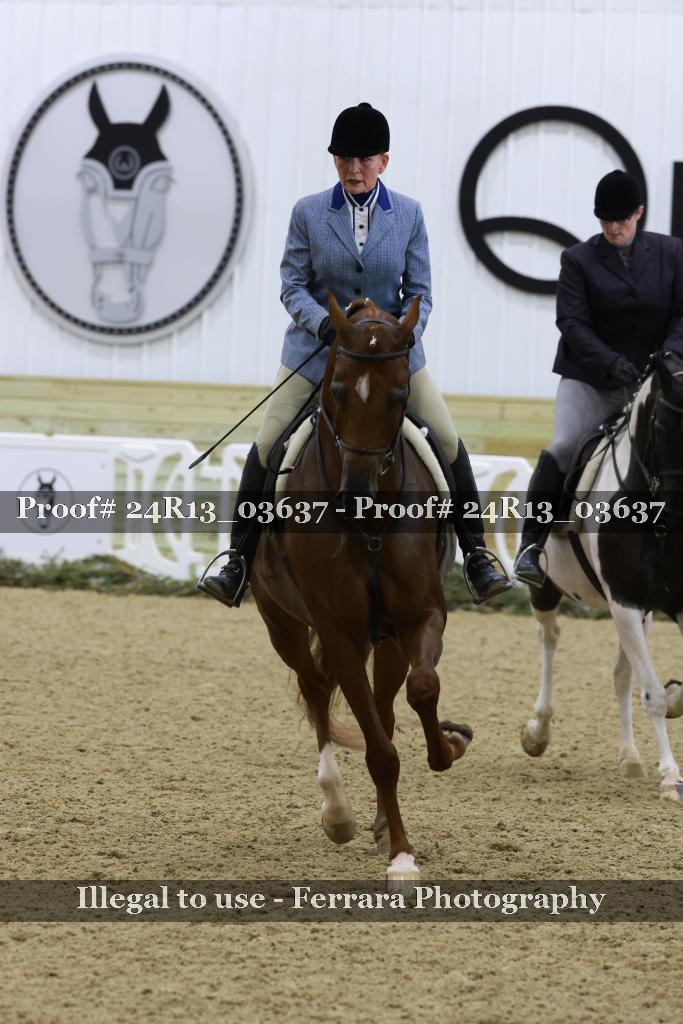 Proof Number 24R13_03637