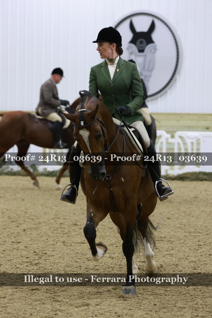 Proof Number 24R13_03639