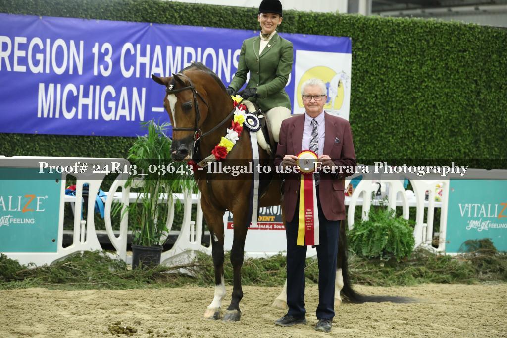 Proof Number 24R13_03643