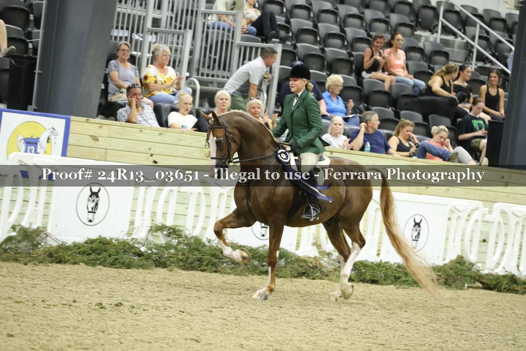 Proof Number 24R13_03651