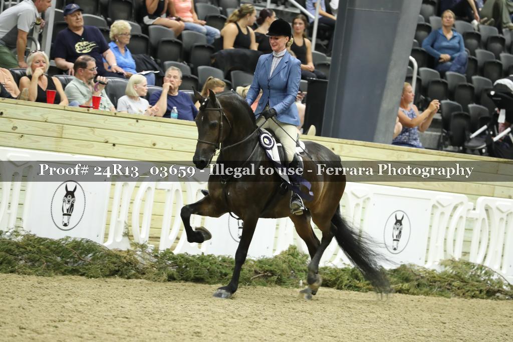 Proof Number 24R13_03659