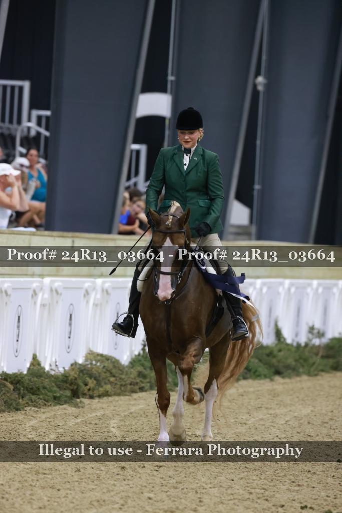 Proof Number 24R13_03664